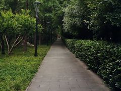 -唐城墙遗址公园