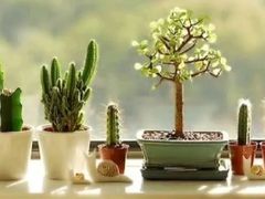 -BomBa意大利餐厅