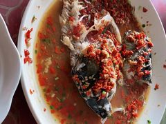 -鱼乐岛餐厅·户外花园主题餐厅
