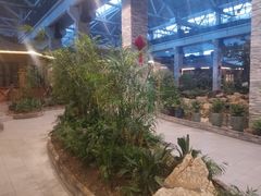 -森谷美食公园(杨行店)
