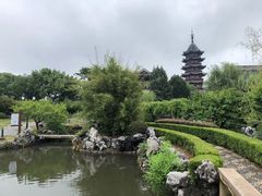 -苏州吴宫泛太平洋酒店
