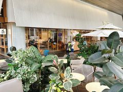 -tea'stone (万象天地店)