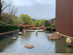 -逸廊大堂吧-下午茶·简餐-千岛湖自由洲际殿