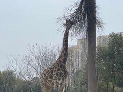 -南昌动物园
