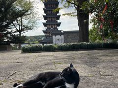 -上海方塔园