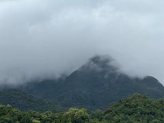 -鼎湖山风景区