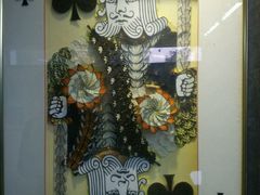 -上海昆虫博物馆