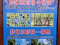 -泗洪洪泽湖湿地景区