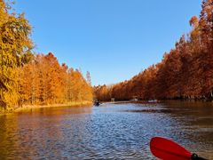 -上海海湾国家森林公园