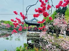 -无锡蠡湖国家湿地公园-蠡园