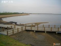 -碧海金沙