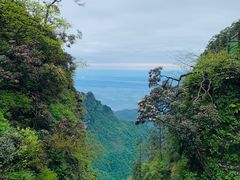-峨眉山风景名胜区