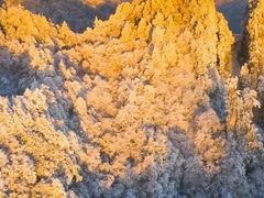 -光雾山旅游景区