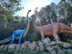 -森波拉火山温泉