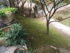 -天怡·鱼工厂(梅溪湖店)