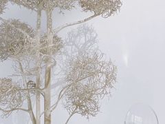 -桉树林A coffee 森林餐厅(三圣乡店)