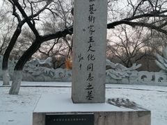 -龙沙公园