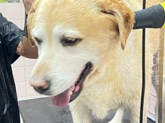 -FAELING PETS美天灵宠物(富力广场店)