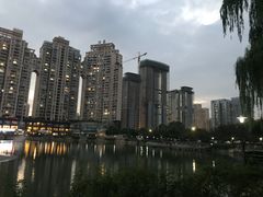 -西北湖绿化广场