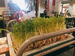 -老表记广西宵夜螺蛳鸭脚煲(西大店)