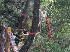 -洛阳白云山景区