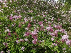 -国家植物园南园