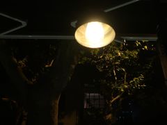 -Apollo·西班牙小酒馆(安福路店)