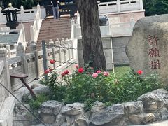 -千佛山风景名胜区