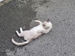 -李叔同故居纪念馆