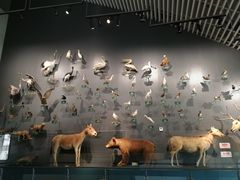 -中国湿地博物馆