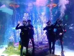 -沈阳海洋探索中心