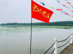 -洪湖生态旅游区