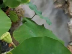-伴山茶苑·围炉煮茶
