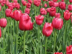 -长春公园(普阳街道)