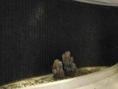 -天津水游城丽筠酒店