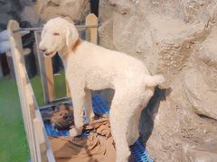 -MOJO密室逃脱(中街旗舰店)