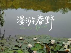 -宜兴龙背山森林公园