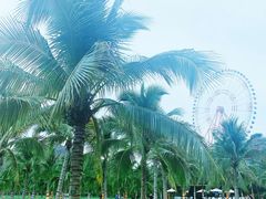-芽庄珍珠岛游乐园