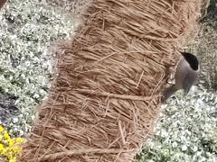 -上海市龙华烈士陵园