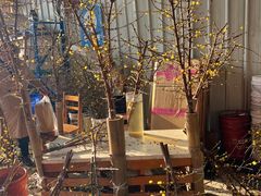 -三圣花乡旅游区