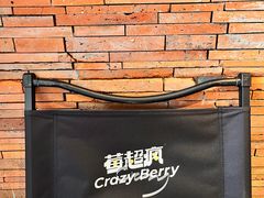 -莓超疯(百源店)
