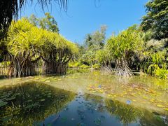 -中国科学院西双版纳热带植物园