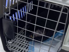 -拜鲁耶动物诊疗中心·宠家动物医院