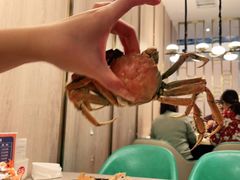 -乔哥铭洋海鲜自助(皇城恒隆广场店)