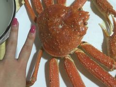-海岛渔村大酒店(云霄路店)