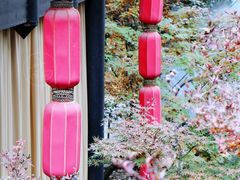 -鱼桥巷·美学川菜