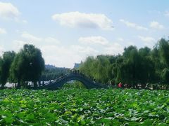 -长春市南湖公园