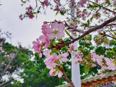 -宝墨园景区