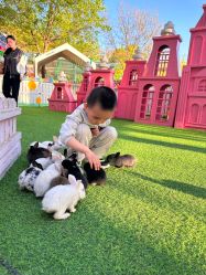 -萌宠亲子动物乐园(槐房万达店)