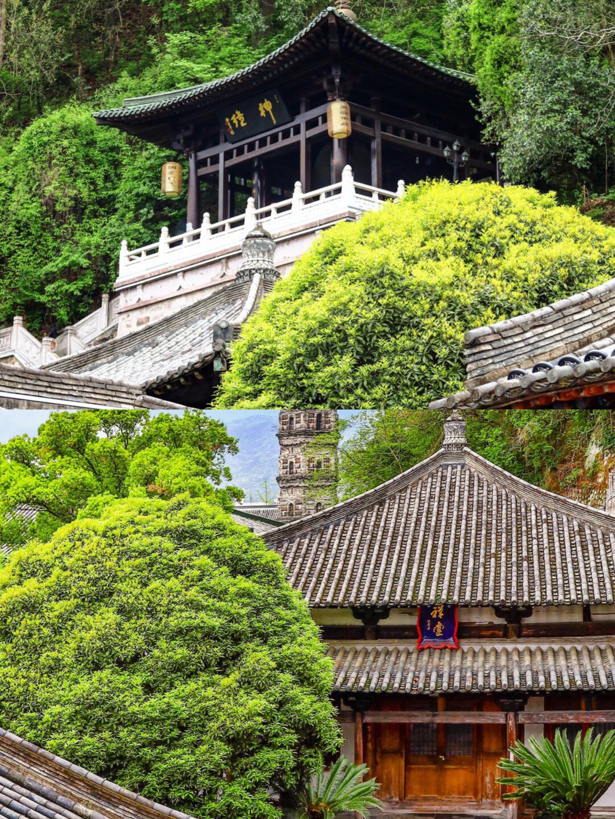 05台州临海龙兴寺